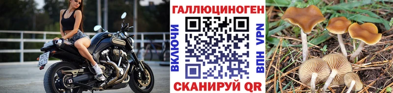 цены   Топки  блэк спрут как войти  Псилоцибиновые грибы прущие грибы 