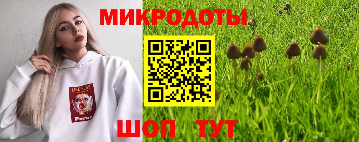 Галлюциногенные грибы Psilocybe Топки