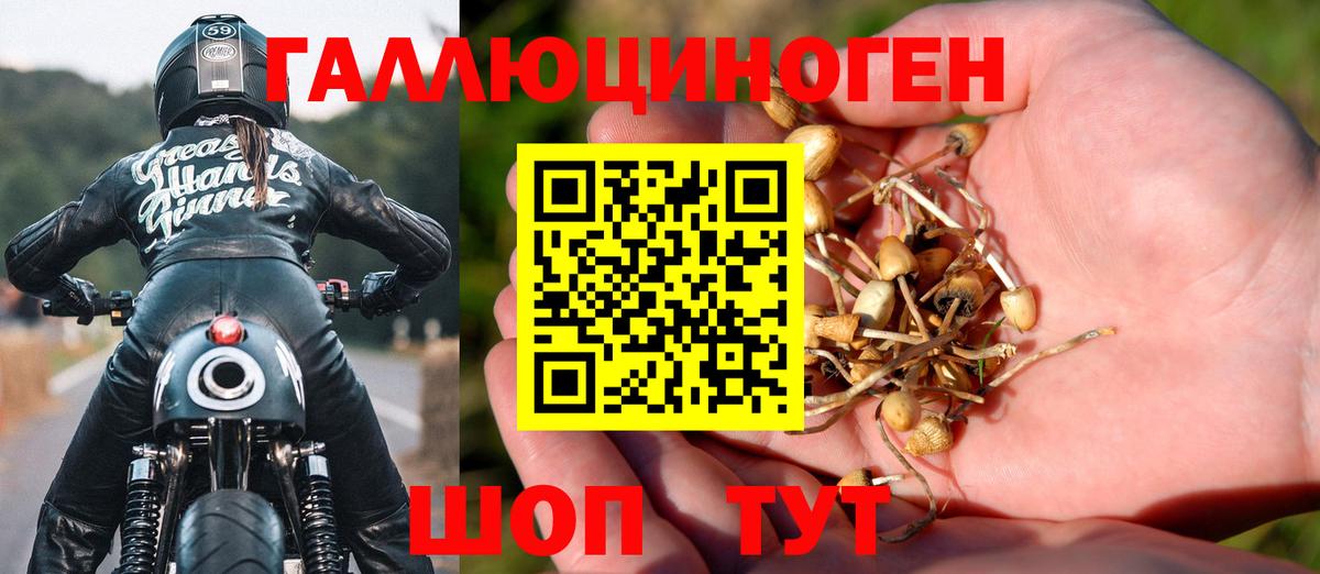Галлюциногенные грибы ЛСД  Вход с VPN  купить наркотики сайты  Топки  Псилоцибиновые грибы Psilocybine cubensis 
